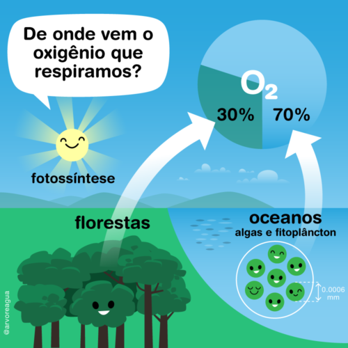 Como Ocorrem As Mar S Arvoreagua