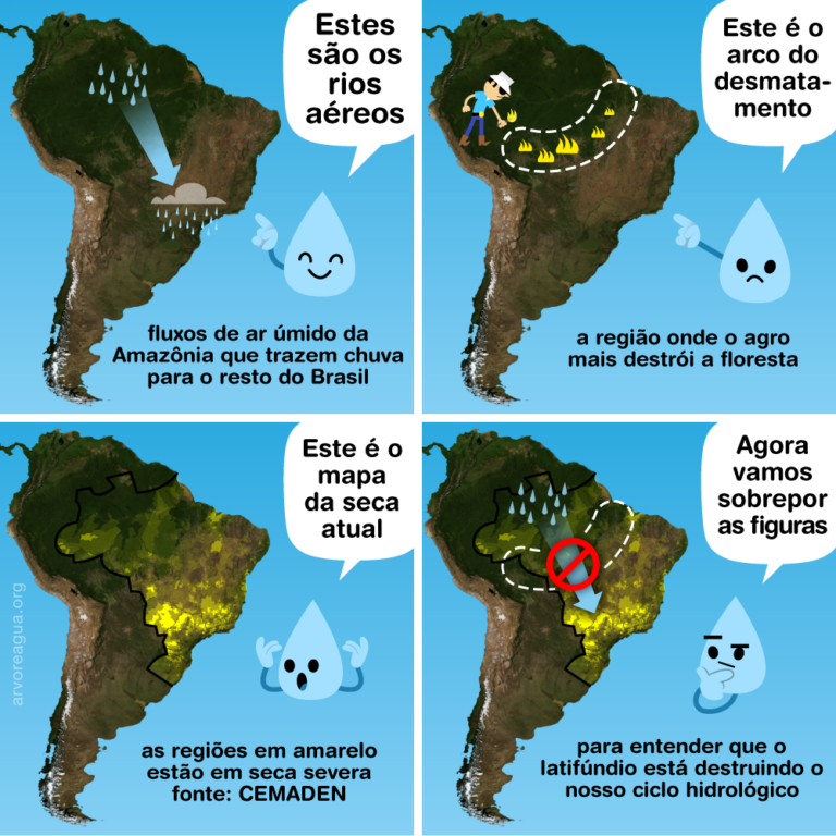 Desmatamento Causa Crise H Drica Arvoreagua