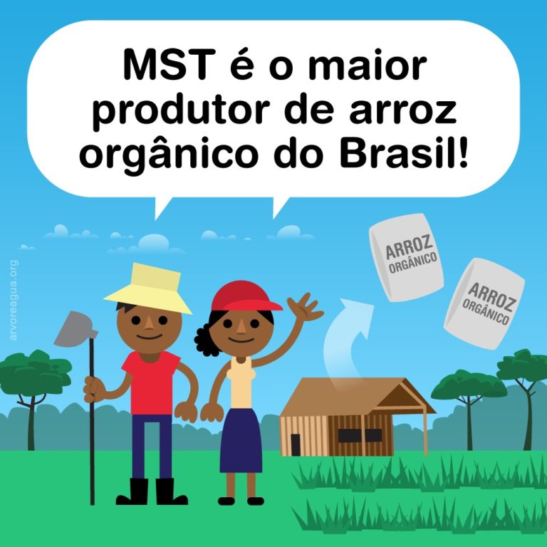 Há 10 anos o MST lidera a produção de arroz orgânico da América Latina