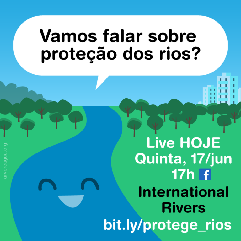 Webinar Sobre Legislação Brasileira Que Protege Os Rios – Arvoreagua