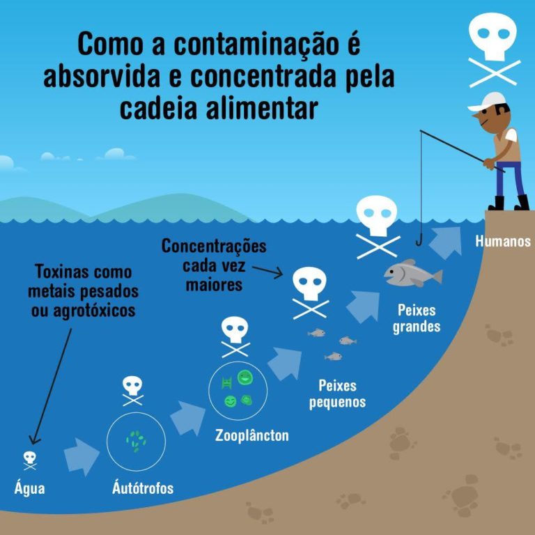 biomagnificação – arvoreagua