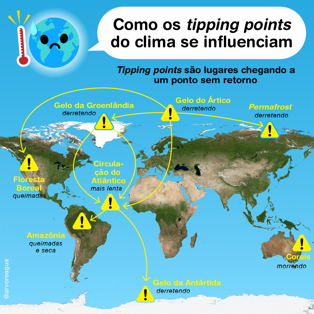 Net Zero é uma grande trapaça! – arvoreagua