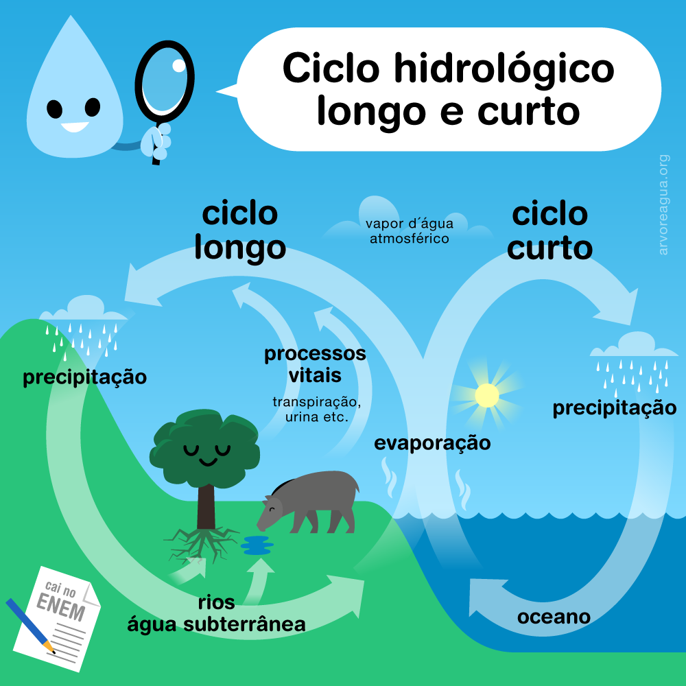 ciclo del agua completo