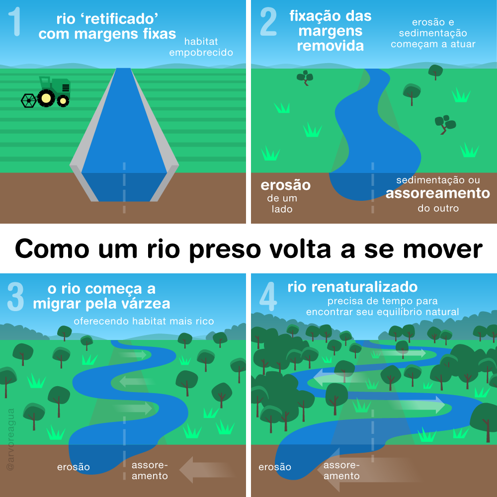 Net Zero é uma grande trapaça! – arvoreagua