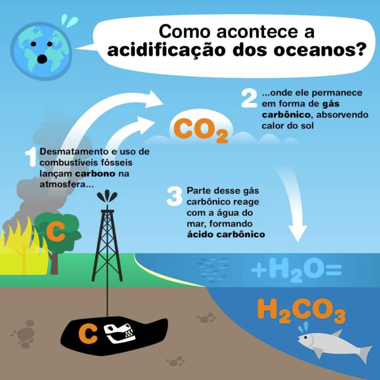 Acidificação Dos Oceanos Arvoreagua 0171