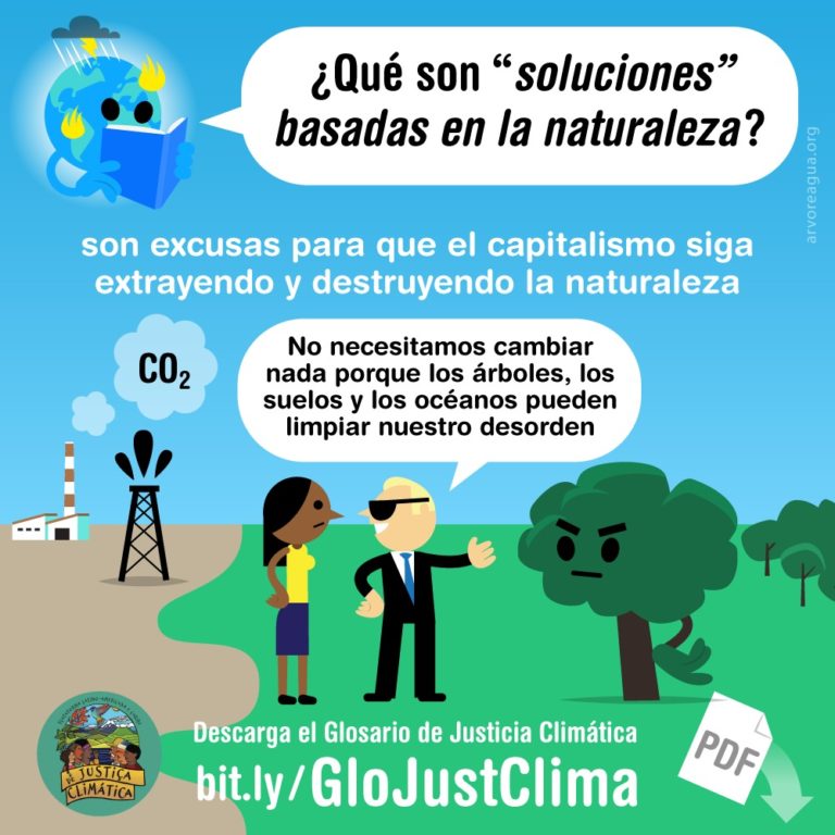 Soluciones Basadas En La Naturaleza Sbn Arvoreagua 0254