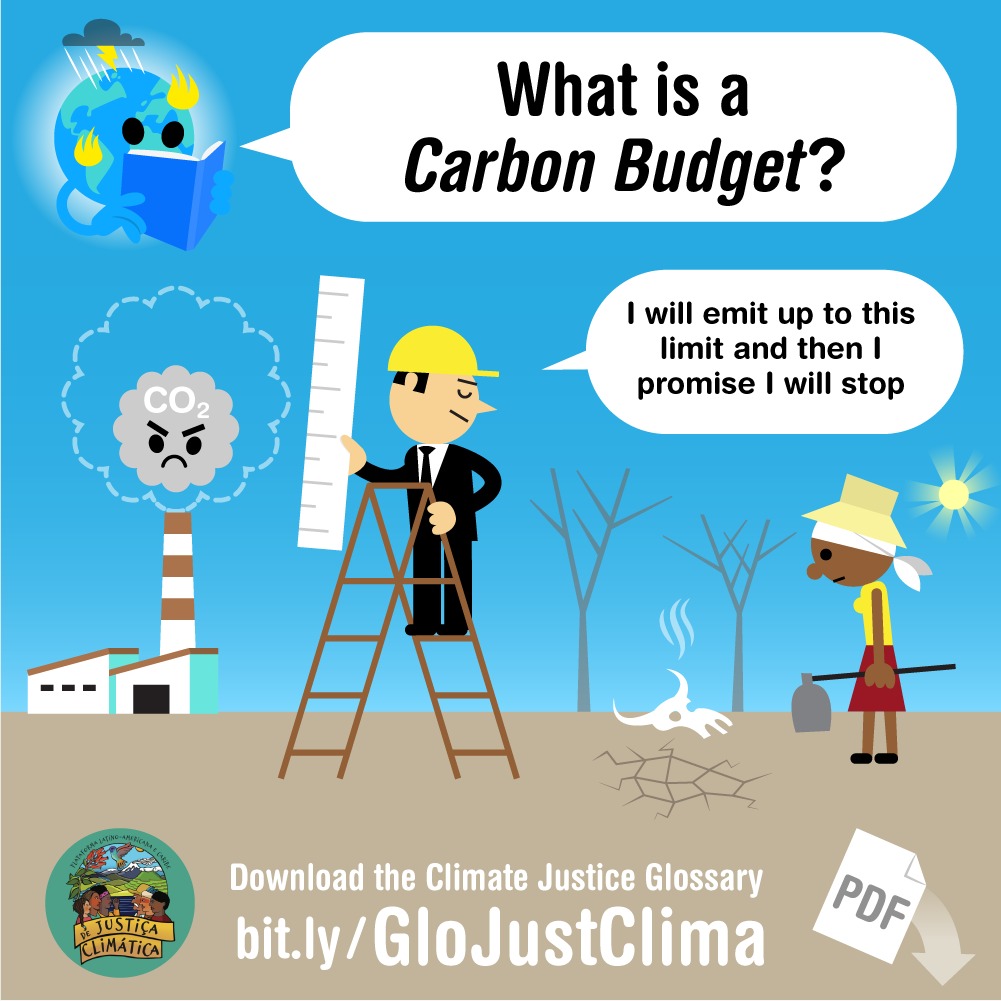 Carbon Budget Arvoreagua