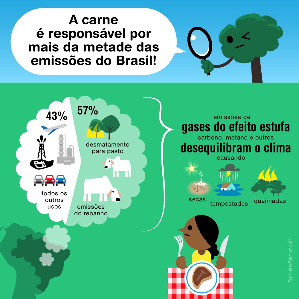 Net Zero é uma grande trapaça! – arvoreagua