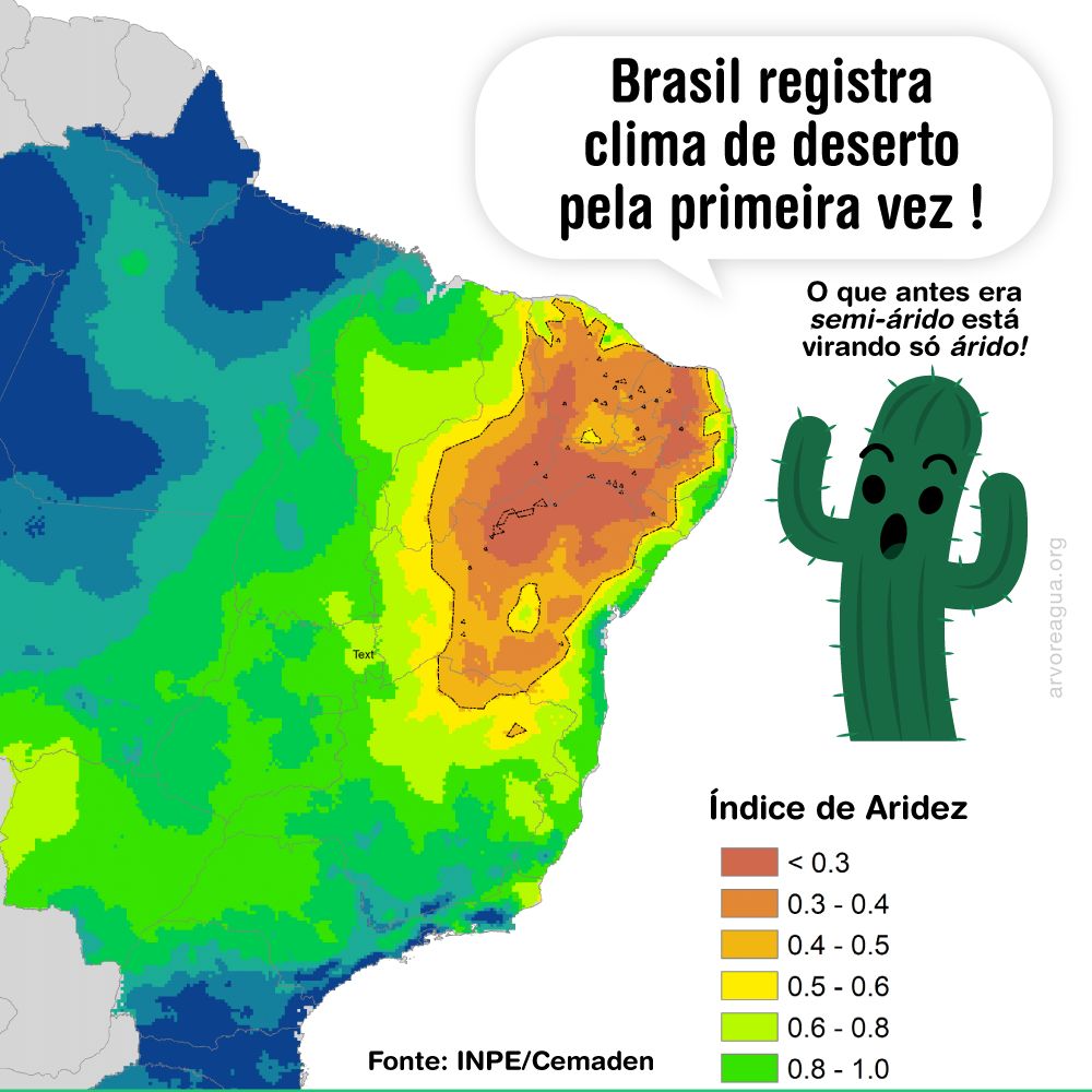 mineração – arvoreagua