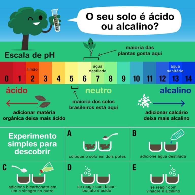 PH Do Solo Arvoreagua